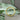 Circle Ring Gelbgold – Seitenansicht – Fairmined Gold Schmuck Berlin